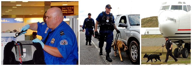 Transportation Security Administration officers