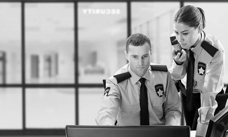 security guard career