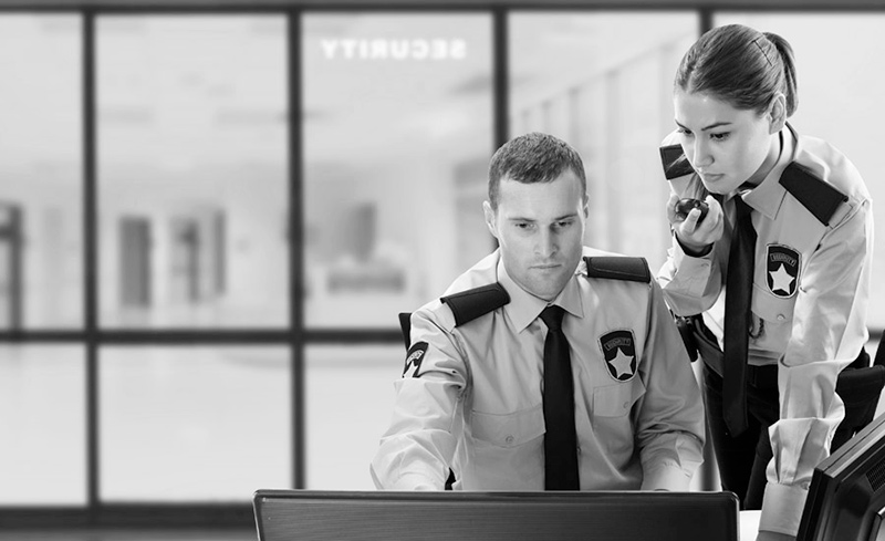 security guard career